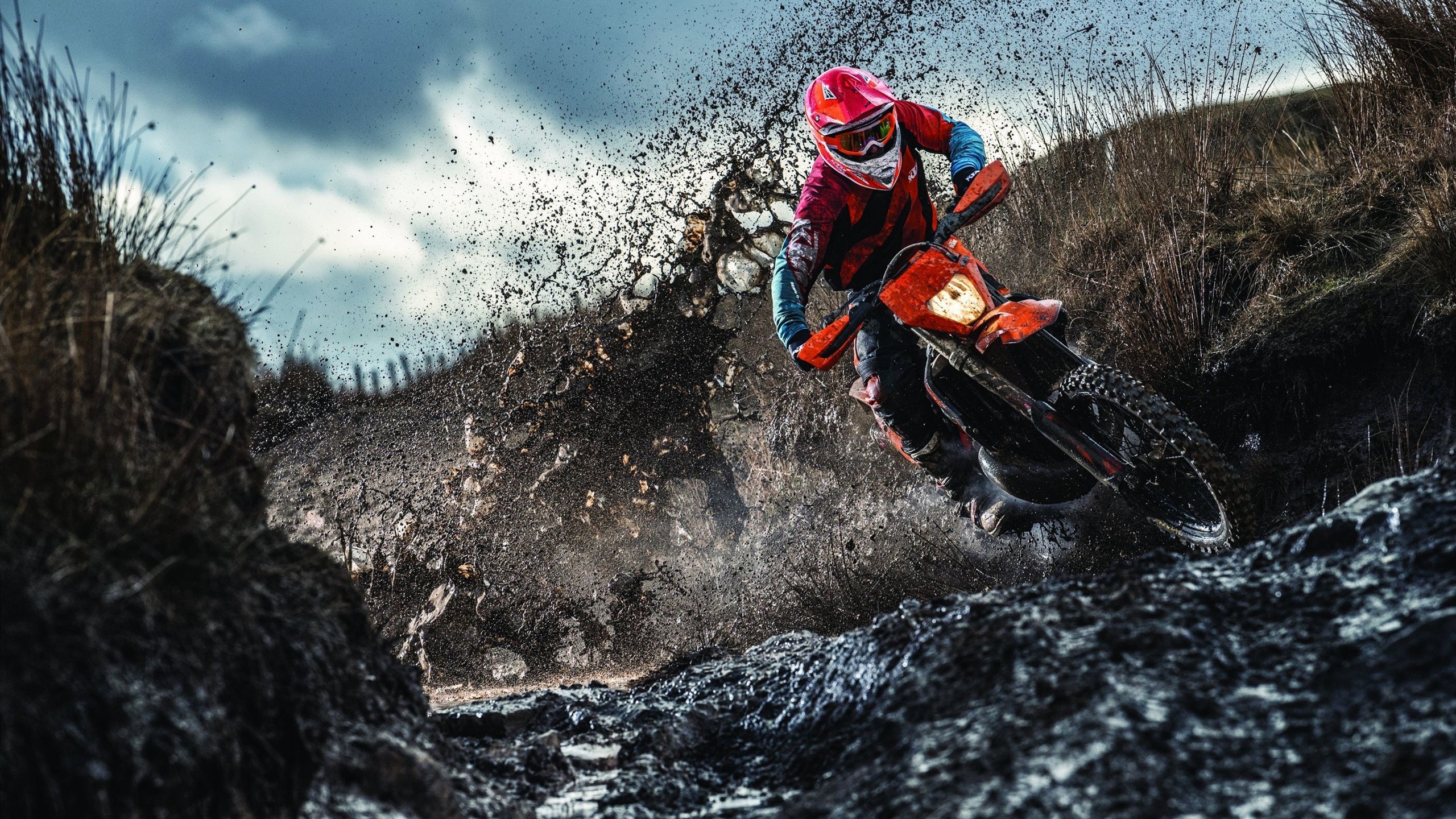 摩洛哥马术协会推出马术运动员健康管理系统，关注运动员身心健康。